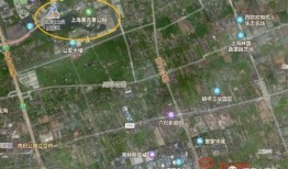 最新监管者爆料讲解文案,深度解析行业动态与监管趋势