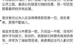 武汉小三爆料事件最新,真相与争议交织的婚姻悬疑剧
